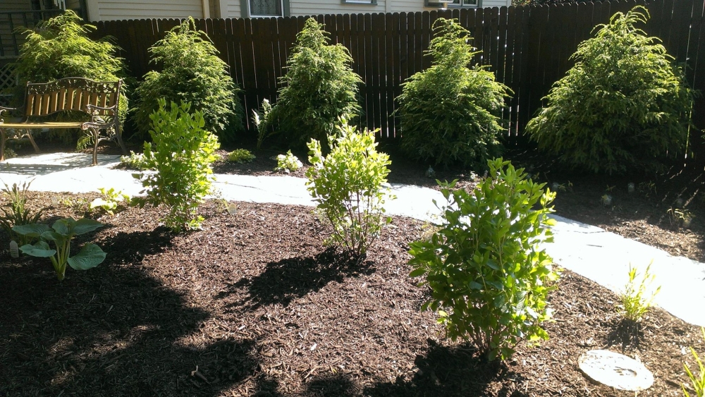 Lake Country Landscaping Shrub Garden